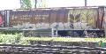thumbnail, trains graffiti, Vancouver Canada