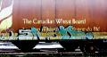 thumbnail, trains graffiti, Vancouver Canada
