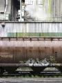 thumbnail, trains graffiti, Vancouver Canada