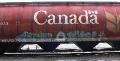 thumbnail, trains graffiti, Vancouver Canada