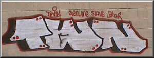 TWN "slave labor" graffiti