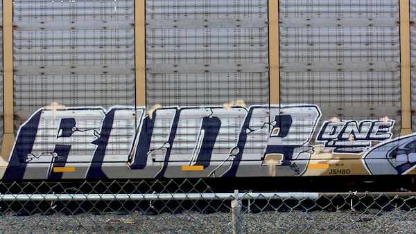 Graffiti on Trains by RUDE ONE