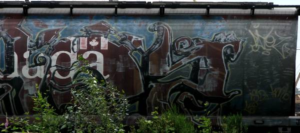whole car - other half - trains graffiti vancouver bc